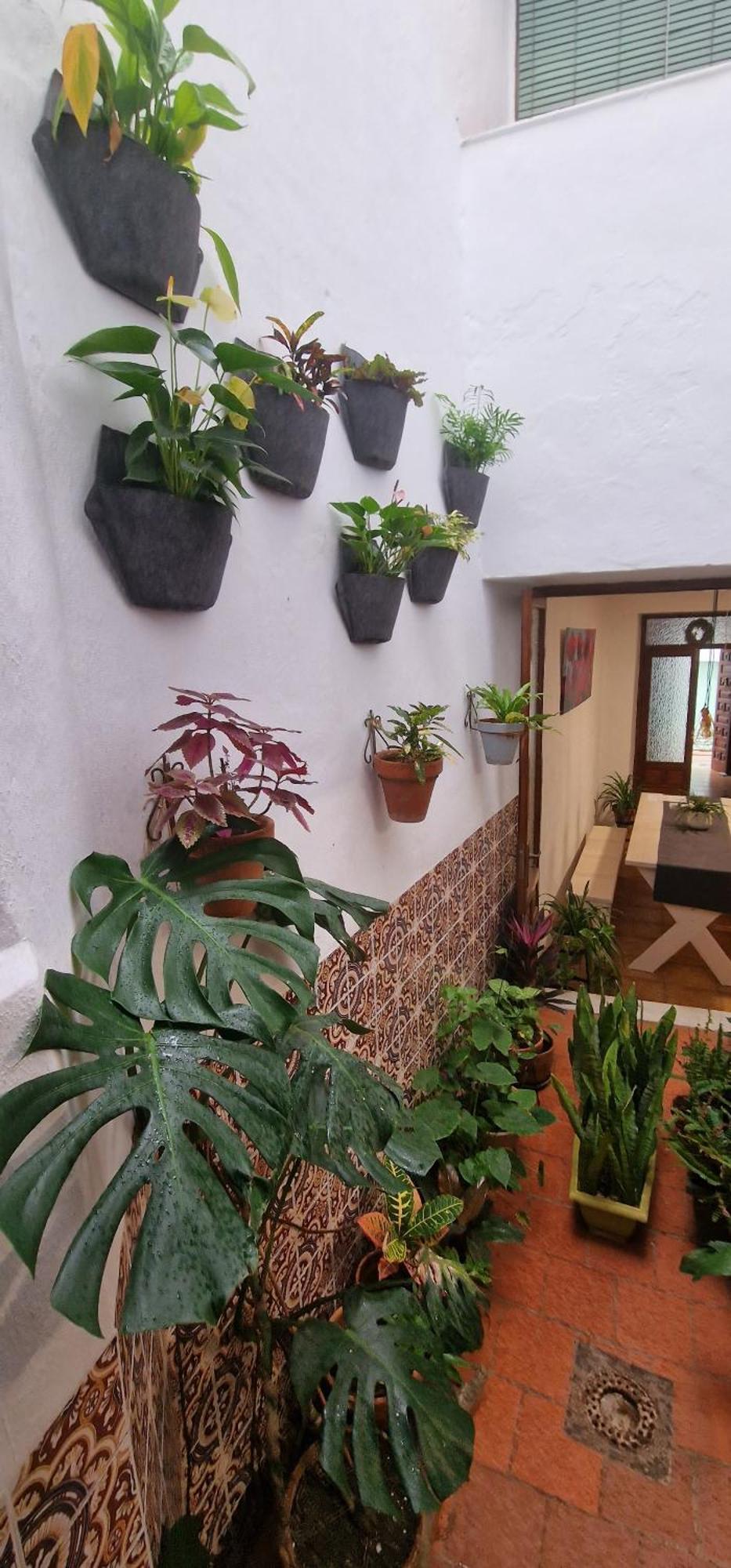 La Casa De Abuela Habitaciones Con Bano Compartido En El Casco Historico De Frigiliana "Solo Adultos" Εξωτερικό φωτογραφία